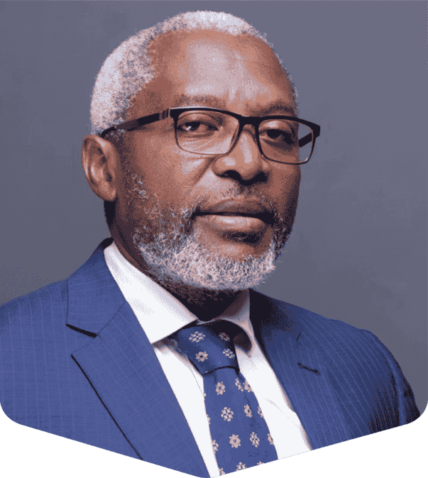 D.B. Mfula